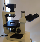 Microscopio óptico marca Japan optical