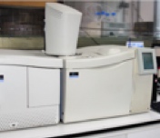 Cromatógrafo de gases acoplado a masa (GC-Ms) Clarus 600 Perkin Elmer